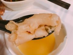 -鲜入围煮花胶鸡海鲜火锅