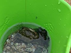 -东戴河风景区-止锚湾