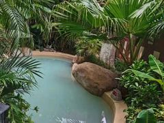 -稷泽·海丽宾雅温泉度假酒店