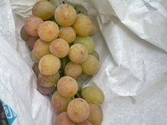 -马陆小张葡萄园农家乐