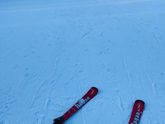 -长白山红松王滑雪场