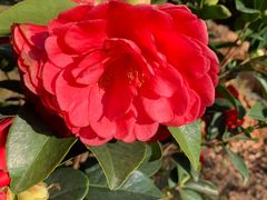 -广州白江湖森林公园