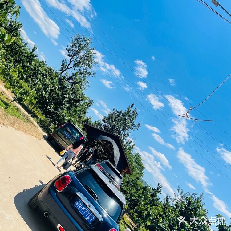 这个时候最适合来摘樱桃了。中午还去附近吃鸽子了