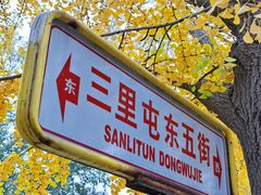 -三里屯东五街银杏大道