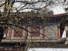 -西安大兴善寺