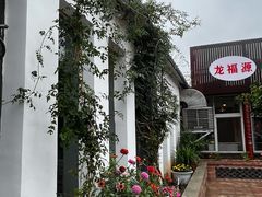 -龙福源密云水库灶台鱼