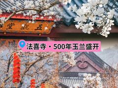 -杭州上天竺法喜讲寺