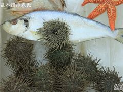 海族一家亲-海岛渔村大酒店(云霄路店)