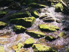 -汤旺河林海奇石景区