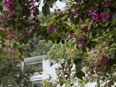 -广东温泉宾馆