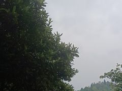 -毛泽东同志旧居