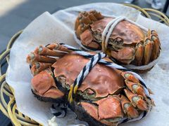 -蟹天蟹地农家菜·阳澄湖大闸蟹(浅水湾店)
