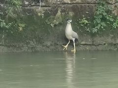 -蜀绣公园