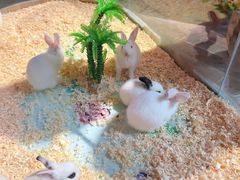 -正佳雨林生态植物园