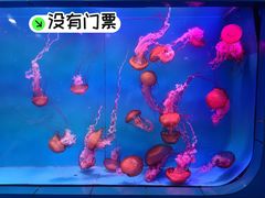 -长春农业博览园