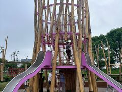 -春花秋色城市公园