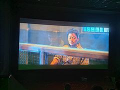 -万达影城(保定万博广场激光IMAX店)