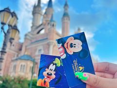 -上海迪士尼度假区