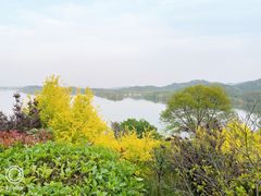 -天目湖涵田半山温泉
