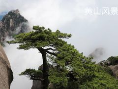 -黄山风景区