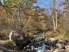 -玉渡山自然风景区