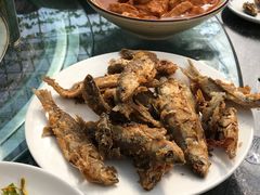 -燕北云山·农家菜·灶台鱼(密云溪翁庄店)