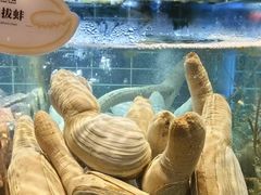 -雍容荟活帝王蟹活龙虾自助(苏宁旗舰店)