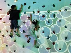 -中国宋庆龄青少年科技文化交流中心