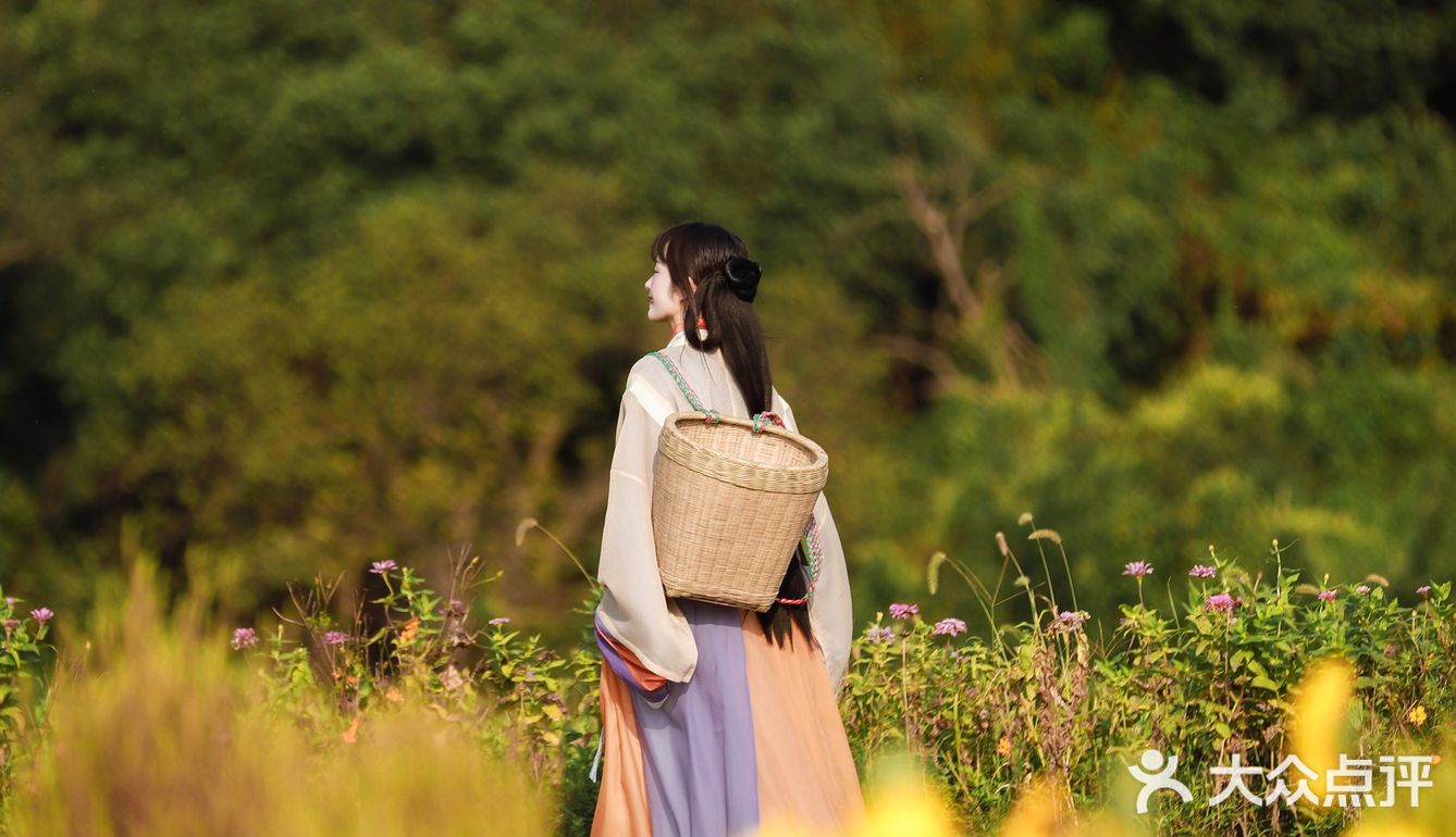 江浙沪的小京都｜无锡灵山小镇拈花湾梵天花海拍照功略