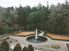 -成田山新胜寺