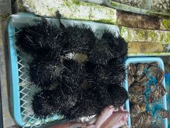 -斌记海鲜加工(十四涌店)