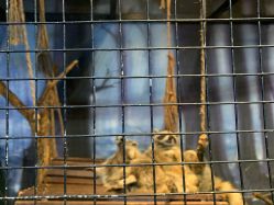 -酷嗒动物文化乐园(cutezoo西溪乐天城店)