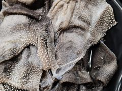 -铜元老码头鳝鱼火锅