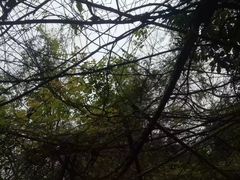 -寻龙山风景旅游区