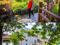 -石台牯牛降景区