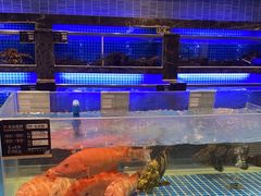 -锦色·烧鹅·海鲜(臻享店)