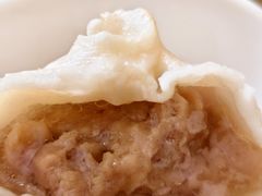 鲜肉小笼汤包-一品小笼(金融街店)