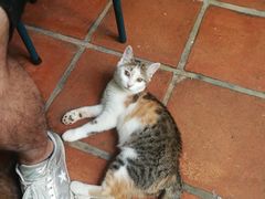 -老宅原住民沙茶面精品小吃(龙头路店)