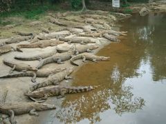-广东茂名森林公园