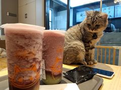 -啵啵喵·猫咖(攀华国际店)