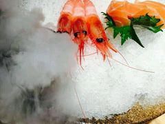 三文鱼刺身-玄海寿司(国贸店)