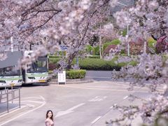 -上海南浦大桥长途旅游客运站