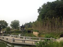 1.2-镇江市南山风景名胜区竹林景区