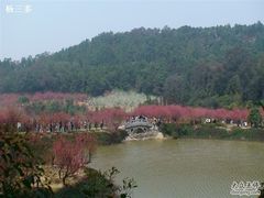 -南国桃园旅游度假区