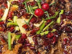 -老板恋上鱼(恒隆广场店)