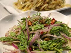 凉拌沙松尖-老昆明·家常菜·钱大妈(金马碧鸡店)