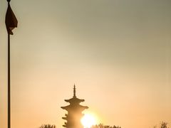 -洋湖国家湿地公园