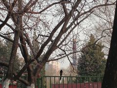 -朝阳公园游乐园