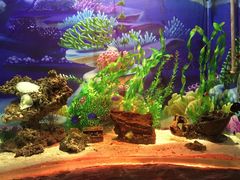 -梦幻海洋王国(吾悦广场张家港店)