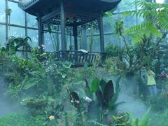 -东莞植物园